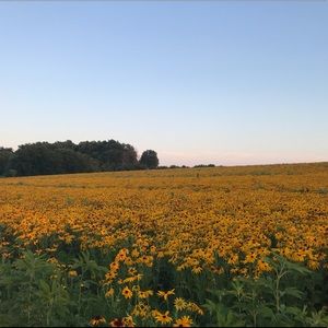 Meet your Posher, Paige